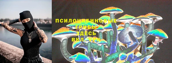 первитин Арсеньев