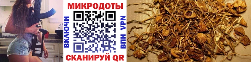 Галлюциногенные грибы мухоморы  Купить где  Тобольск 